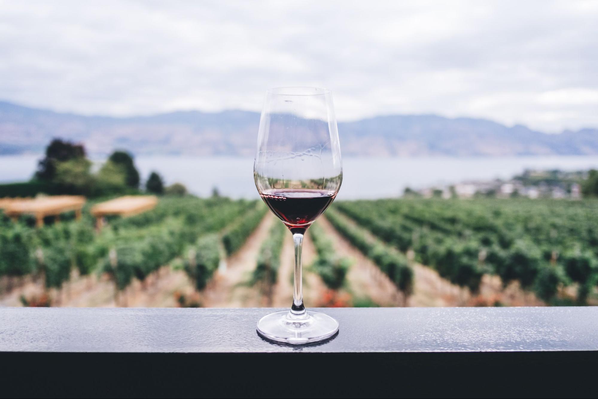 Understanding Red Wine: How to Decide If Cabernet Sauvignon, Pinot