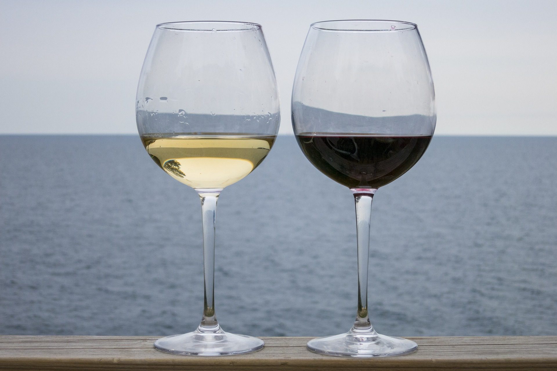 White wine vs red wine